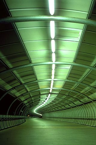 Green Tunnel, City Iphone Wallpaper, Green Corridor, Hd Wallpaper Android, Ap Studio Art, Liminal Space, Free Iphone Wallpaper, Iphone 3, Alien Worlds