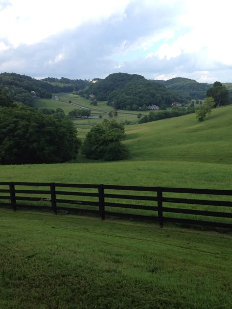 pasture Farm Pasture, Pasture Aesthetic, Horse Pasture, Farm View Country Life, Farm Land, Horse Pasture In Front Of House, Horses In Pasture, Fence Countryside, Farm Horses Country Living