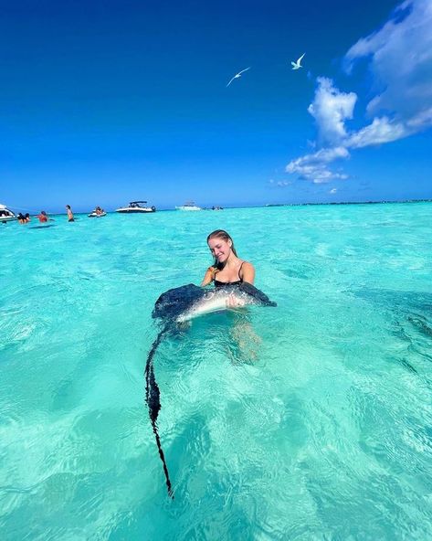 #travel #travelinspo #grandcayman #stingraycity #ocean Aquatic Life Aesthetic, Cayman Islands Aesthetic, Grand Cayman Aesthetic, Diving With Sharks Aesthetic, Swimming With Stingrays, Stingray City Grand Cayman, Bahamas Shark Swimming, Grand Cayman Island, Cayman Island