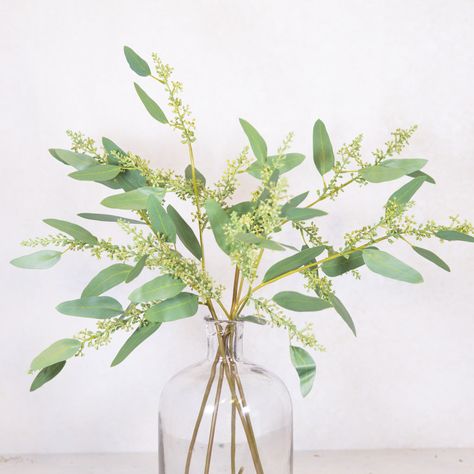 Faux-real long seed finger eucalyptus spray stem. Measures 28"H, container not included. Sold as single stem only, not as bunch. Disclaimer: All our designs are 100% faux! We source high-end, authentic looking faux florals and stems. As our materials are made to appear realistic, often the stems and blooms have slight variations - just as they would in nature! This may mean no two designs are exactly the same, so please expect some variation. Branches crafts all of our designs with love and atte Branches Crafts, Faux Florals, In Nature, Seeds, This Is Us, Spray, Floral, Design, Nature