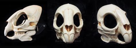 Rabbit Anatomy, Animal Skull Drawing, Rabbit Skeleton, Rabbit Skull, Skull Masks, Skull Anatomy, Skull Reference, Animal Skeletons, Mask Painting