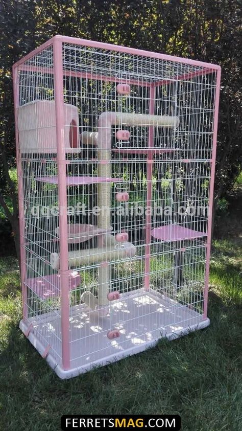 Cat Cages Indoor, Diy Cat Enclosure, Cages For Sale, Ferret Cage, Pet Bird Cage, A Ferret, Rat Cage, Cat Cage, Outdoor Cat Enclosure