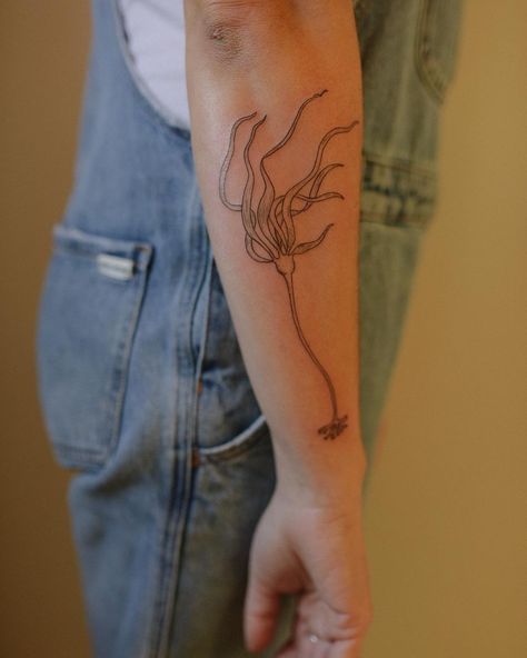 Seaweed Wrap Tattoo, Sea Kelp Tattoo, Bull Kelp Drawing, Seaweed Wrap Around Tattoo, Bull Kelp Tattoo, Kelp Tattoo, Seaweed Tattoo, Funny Small Tattoos, Side Arm Tattoos