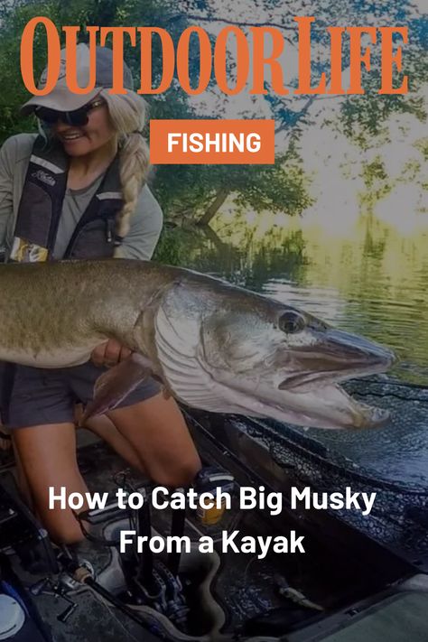 Fishing for musky from a kayak can give you an advantage over anglers fishing from boats. You just have to do a little more research. Wild Caught Fish Recipes, Upland Bird Hunting, Musky Fishing, Wild Caught Fish, Animal Attack, Waterfowl Hunting, Big Game Hunting, River Trip, Bird Hunting