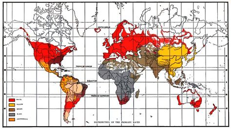 Caucasian Race, Devil Quotes, Human Skin Color, African Ancestry, Language Families, Rising Tide, Australia Map, Historical Maps, North Africa