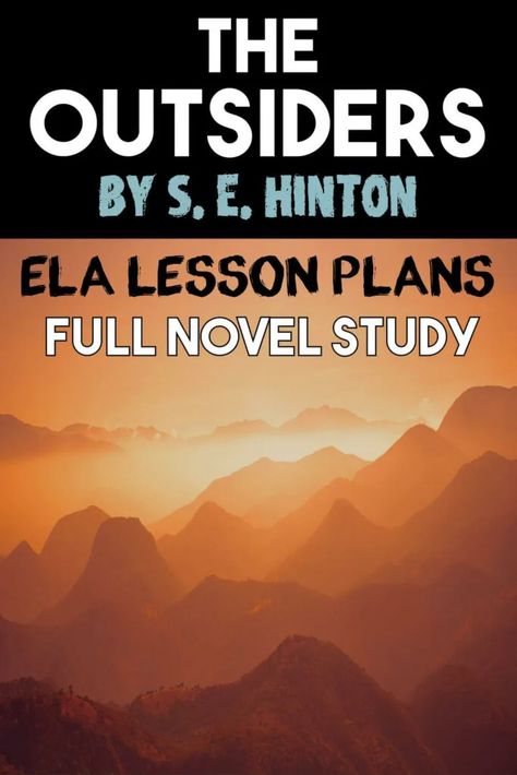 The Outsiders Project Ideas, The Outsiders Lesson Plans Middle School, Middle School English Lesson Plans, Middle School Novel Studies, Middle School Novels, S E Hinton, Study Lesson, Novel Study Activities, Reading Questions