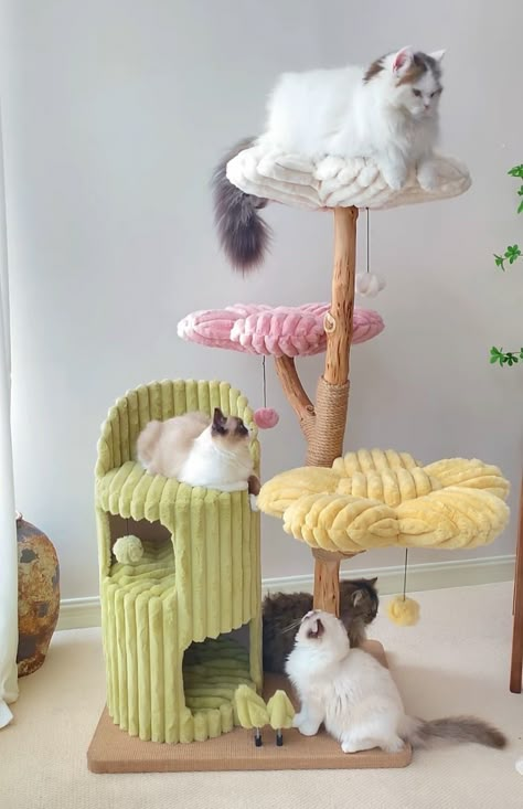 Cat Trees Aesthetic, Cute Cat Trees, Cat Tree Aesthetic, Mushroom Cat Tree, Diy Cat Enclosure, Cat Climbing Wall, Kitten Accessories, Cat Area, Dream's Cat