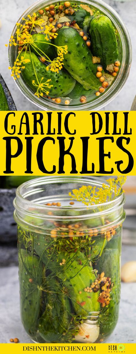 These Garlic Dill Pickles are just like the ones grandma used to make. They’re salty sour and full of pucker power! Homemade pickles are far superior to any store bought pickles and making them yourself is so satisfying. Learn how to make a batch of homemade pickles with this easy guide. How To Make Pickles From Cucumbers Dill, Garlic Pickles Canning, Spicy Garlic Dill Pickle Recipe, Cold Brine Dill Pickles, Homemade Pickle Flavors, Small Batch Pickles Recipes, Dill Pickles With Alum, Homemade Garlic Dill Pickles, Small Batch Dill Pickles