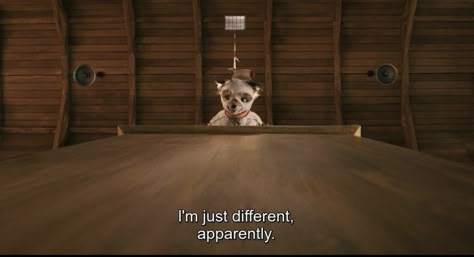 Ash Fox, Fantastic Mr Fox Aesthetic, Fantastic Mr Fox Quotes, Fox Quotes, Fox Aesthetic, Fantastic Fox, Wes Anderson Movies, Wes Anderson Films, Fantastic Mr Fox