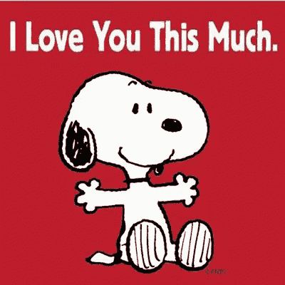 Image result for I LOVE YOU THIS MUCH GIF Love You This Much, Woodstock Snoopy, Hello Greeting, Snoopy Cartoon, Snoopy Funny, Charlie Brown Snoopy, Snoopy Images, Peanuts Cartoon, Snoopy Quotes