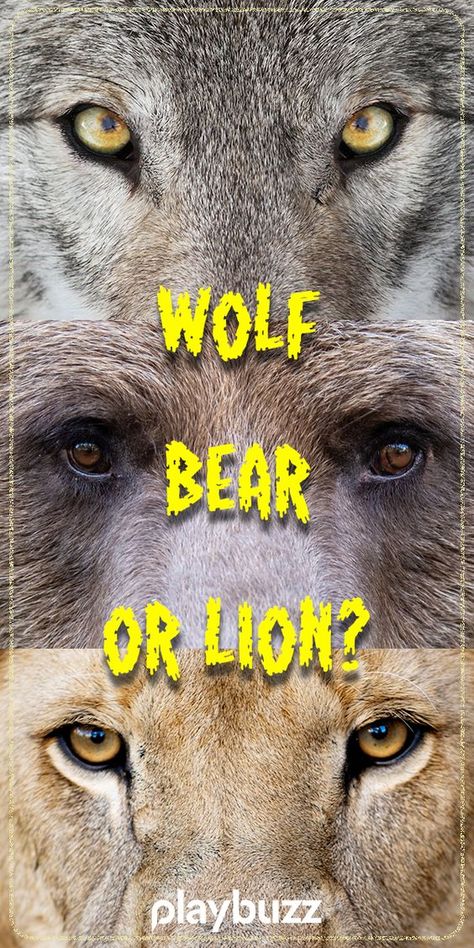 Which Animal Are You Quiz, Which Animal Are You, What Animal Am I Quiz, Therian Quiz, How To Draw A Wolf, Wolf Person, Wolf Personality, Bear Personality, What Animal Am I