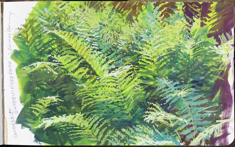 James Gurney, Cinnamon ferns, gouache, 5 x 8 inches. Acrylic Fern Painting, How To Paint Ferns Acrylic, Painting Ferns Acrylic, How To Paint Ferns, Ferns Painting, Painting Ferns, Fern Painting, Sharpie Art Projects, James Gurney