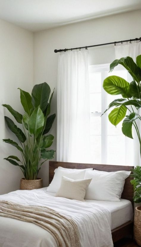 Large Plant In Bedroom, Eco Friendly Bedroom, Bedroom Redo, Bedroom Plants, Makeup Table, Spider Plants, Room With Plants, Bedroom Refresh, Large Plants