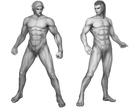 Male Body Structure, Body Refrance, Zbrush Anatomy, Drawing Method, Human Body Structure, Drawing Characters, Male Anatomy, Body Structure, Digital Art Beginner