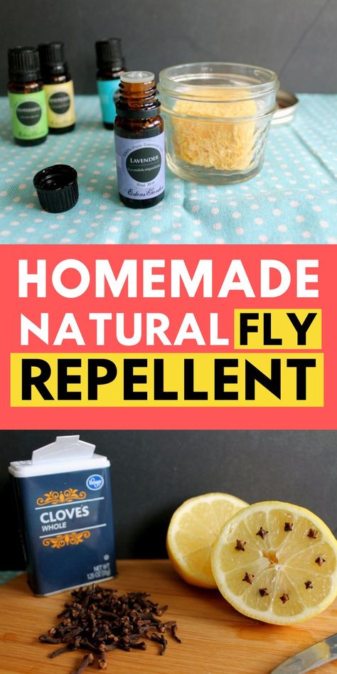 Diy Flies Repellent, Black Fly Bites, House Fly Traps, Natural Fly Repellant, Flies Outside, Pest Repellent, Get Rid Of Flies, Plant Insects, Black Fly