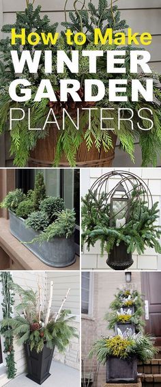 How to Make Winter Garden Planters! • These easy winter planter ideas, tips and tricks will help you create winter containers that wow! #winterplanters #wintergardenplanters #wintercontainergardening #wintergardencontainers #wintercontainers #winterfrontporchplanters #frontporchplanters Winter Planter Ideas, Franklin House, Winter Containers, Winter Container Gardening, Funny Vine, Winter Planter, Christmas Planters, Winter Vegetables, Outdoor Planter