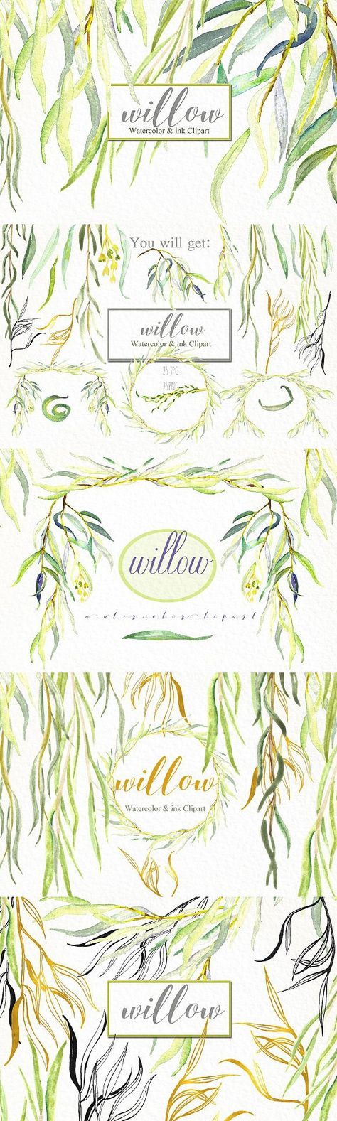 Willow branches watercolor. Wedding Card Templates Willow Tree Wedding Invitations, Willow Tree Drawing, Tree Tattoo Color, Tree Tattoo Meaning, Tree Drawing Simple, Willow Tree Wedding, Family Tree Painting, Willow Tree Tattoos, Willow Leaves