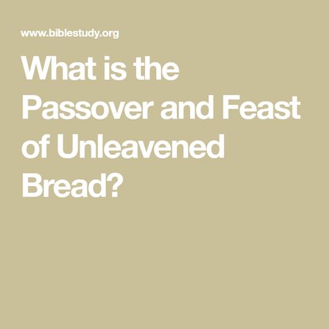 What is the Passover and Feast of Unleavened Bread? Seder Dinner, Feast Of Unleavened Bread, Passover Lamb, Unleavened Bread, Children Church, Jesus Sacrifice, Passover Seder, Kids Church, Lessons For Kids