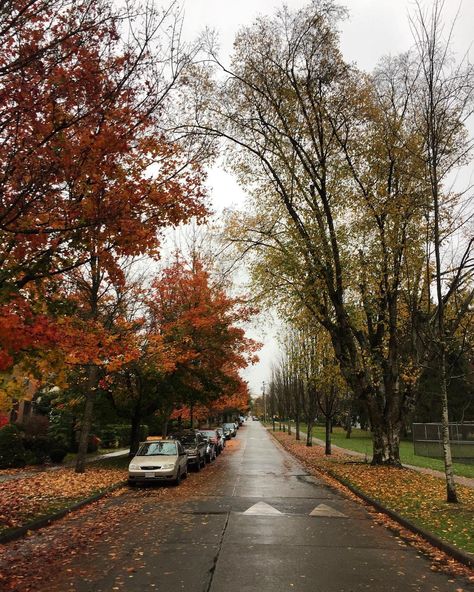 Michael Seidelman on Instagram: “A rainy autumn day in Vancouver’s Dunbar neighbourhood.” Autumn In Vancouver, Vancouver Autumn, Rainy Vancouver, Rainy Autumn Day, Vancouver Neighborhoods, Board Collage, Rainy Autumn, Vision Board Collage, Mid Century Modern House