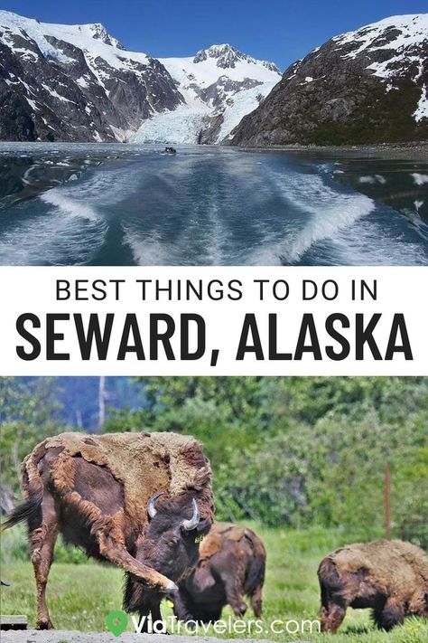 Alaskan National Parks, Things To Do In Seward Alaska, Lake Clark National Park Alaska, Orca Island Alaska, Kenai River Alaska, Seward Alaska Things To Do In, Best Time To Visit Alaska, Seaward Alaska, Visiting Alaska