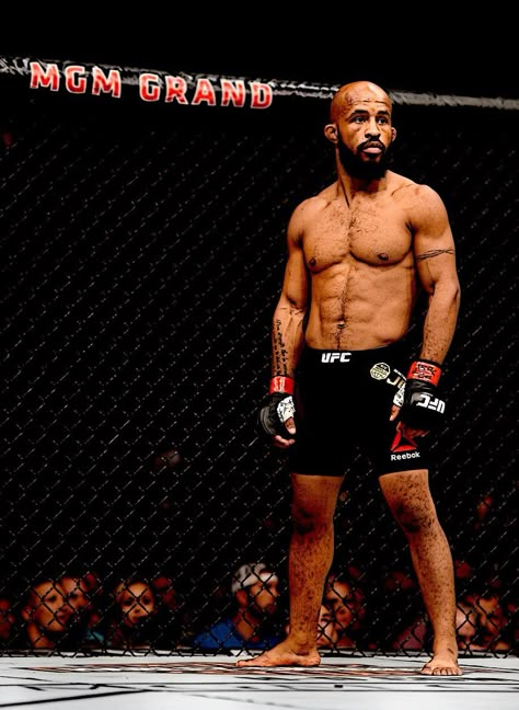 Demetrious Johnson Wallpaper, Demetrius Johnson, Ufc Wallpaper, Demetrious Johnson, Mighty Mouse, Ultimate Fighter, Muscle Anatomy, Ufc Fighters, Mma Boxing