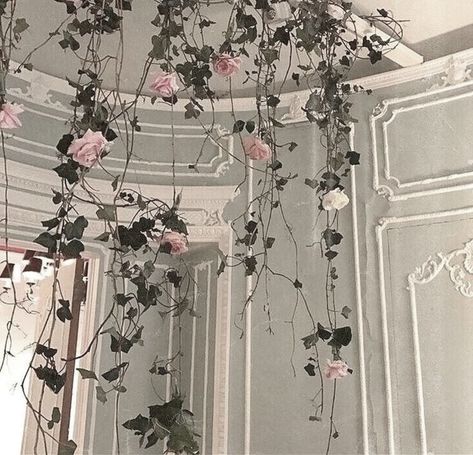 Cocoppa Wallpaper, Angel Aesthetic, Pandora Hearts, + Core + Aesthetic, Nature Aesthetic, White Aesthetic, Pretty Places, Aesthetic Photo, Pink Aesthetic