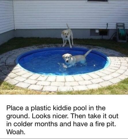 Dog pool / fire pit, such a great idea because dogs love water and this would be so fun for them Plastic Kiddie Pool, Plastic Pond, Dog Pond, Pond Pool, Diy Projektit, Kiddie Pool, In The Pool, Labradoodle, Outdoor Projects