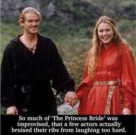 The Princess Bride Edits, The Princess Bride Funny Memes, Princess Bride Fanart, Princess Bride Wesley, Princess Bride Hair, The Princess Bride Aesthetic, Princess Bride Meme, Princess Bride Aesthetic, Princess Bride Movie Party