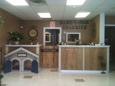 Grooming Salon Ideas, Dog Grooming Salon Ideas, Dog Grooming Salon Decor, Pet Grooming Business, Pet Grooming Salon, Grooming Business, Dog Grooming Shop, Dog Spa, Dog Grooming Salons