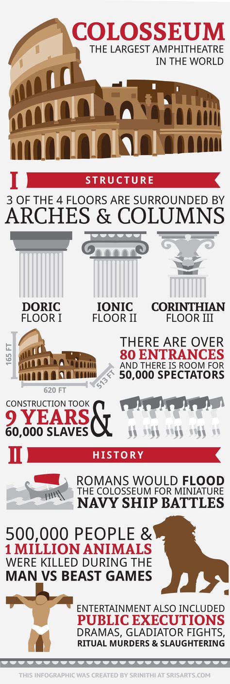 Colosseum Infographic — sris arts Historical Infographics, Ancient Rome Architecture, Rome Guide, Architecture Journal, Rome Architecture, Public Execution, History Infographic, Infographic Poster, Science Projects For Kids