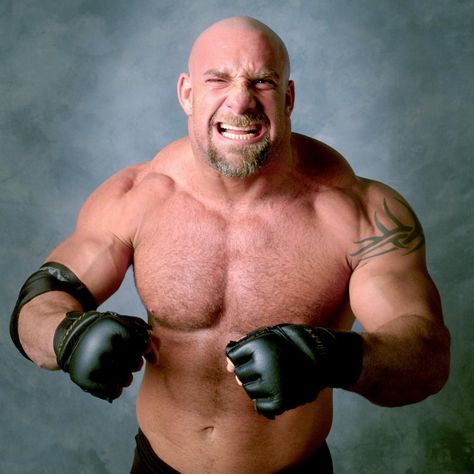 Goldberg Wwe, Bill Goldberg, Wrestling Superstars, Wwe News, Wwe Photos, World Champion, Wwe Superstars, Pro Wrestling, Ufc