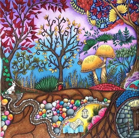 Enchanted Forest Coloring Book Johanna Basford, Enchanted Forest Book, Basford Enchanted Forest, Enchanted Forest Coloring Book, Joanna Basford Coloring, Johanna Basford Enchanted Forest, Johanna Basford Secret Garden, Secret Garden Coloring Book, Enchanted Forest Coloring