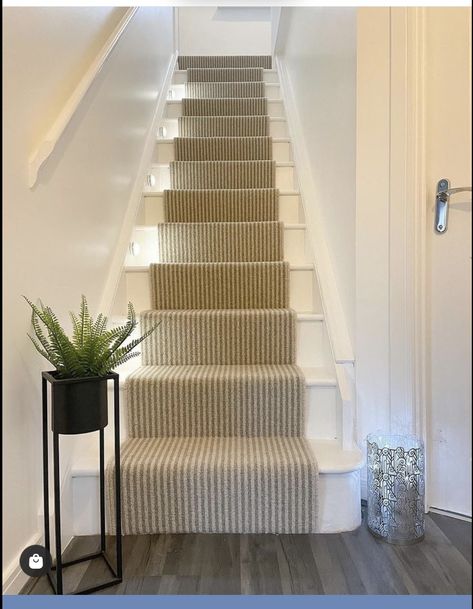 Narrow Staircase Ideas, Stair Runner Ideas, Striped Stair Runner, Carpet Staircase, House Hallway, Narrow Staircase, Staircase Runner, Stairs Landing, House Staircase