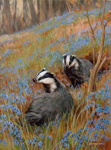 Badger Illustration, Masterpiece Art, Illustration Picture, Nocturnal Animals, Honey Badger, Face Book, Animal Wildlife, Original Art For Sale, Woodland Creatures