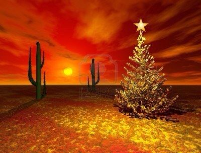 Christmas in the desert.   For Grandpa Christmas In The Desert, Desert Christmas, Christmas In The Desert Photography, Arizona Christmas, Arizona Christmas Photos, Christmas Cactus Art, Christmas Cactus Watercolor Painting, Merry Christmas Gif, Garden Christmas