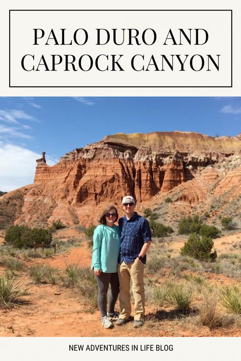 Diy Farmhouse Kitchen Table, Blueberry Garden, Caprock Canyon, Texas Camping, Palo Duro Canyon State Park, Caprock Canyon State Park, Diy Farmhouse Kitchen, Texas Getaways, Blueberry Delight