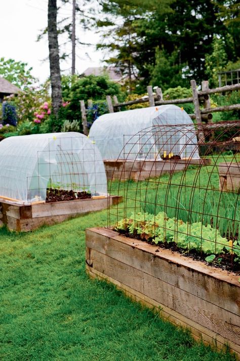 Raised beds with summer shelters. These covers would also work well in areas with extended fall  periods of frost/freeze warnings. Vegetable Garden Beds, Raised Vegetable Gardens, Plants Growing, Diy Raised Garden, Sloped Garden, Raised Garden Beds Diy, Greenhouse Plans, Veg Garden, Greenhouse Gardening