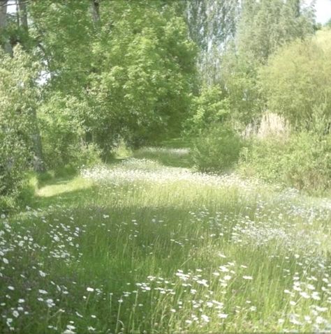 #meadow #disney #aurora #sleepingbeauty #lanadelrey #spring #summer #wildflower Pretty Meadow, Meadow Aesthetic, Twilight Meadow Wallpaper, Golden Meadow Aesthetic, Disney Dreamlight Meadow, Dreamy Meadow, Flowery Meadow, Yellow Meadow, Flower Field Twilight