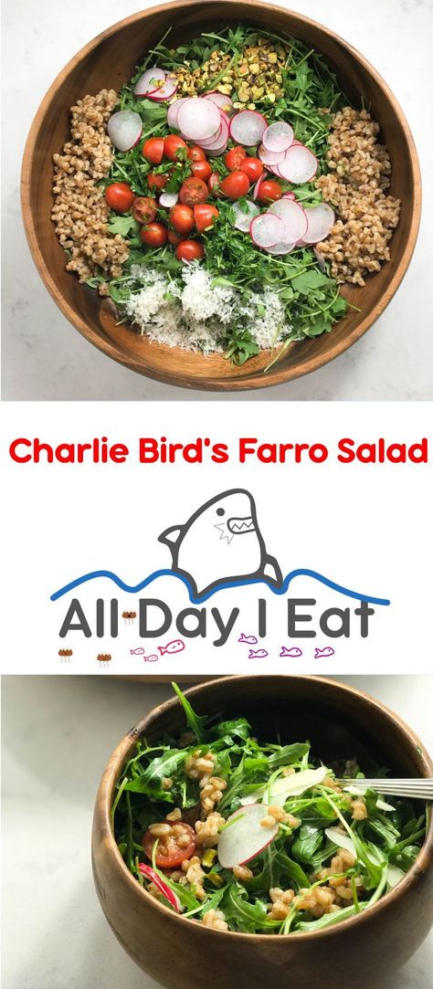 Charlie Bird's Farro Salad version 1.0 with Hard Cider | www.alldayieat.com Grain Recipes, Healthy Vegetarian Dinner, Farro Salad, Salad Ideas, Global Cuisine, Ancient Grains, Hard Cider, Grain Foods, Seasonal Recipes