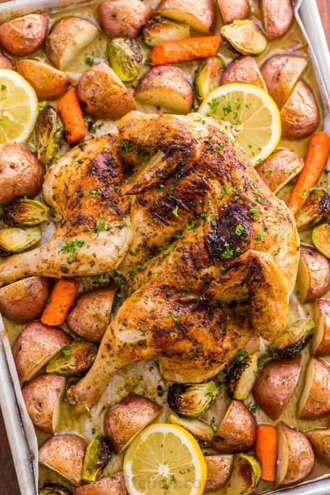 This Spatchcock chicken recipe is our favorite way to roast a whole chicken. Every part of the roasted chicken turns out juicy and so flavorful with that garlic herb butter. Easy and delicious one pan chicken dinner! | natashaskitchen.com Roasted Chicken Halves Oven, Baked Chicken Halves, Half Chicken Recipes, Chicken Diane, Roast A Whole Chicken, Herbed Butter, Best Roasted Chicken, Roasted Sprouts, Spatchcock Chicken