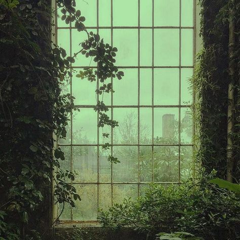 Earth Tone Aesthetic, Earth Tones Aesthetic, Green Aesthetic Tumblr, Aesthetic Plant, Aesthetic Plants, Boho Art Drawings, Dark Green Aesthetic, Dark Green Background, Aesthetic Green