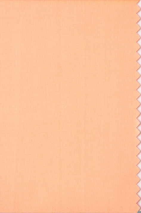 PANTONE 13-1023 Color of the Year 2024 Peach Shades, Highend Furniture, Color Of The Year 2024, Beige Shades, High End Lighting, Pantone Color Of The Year, Furniture Luxury, Peach Fuzz, Italian Designer