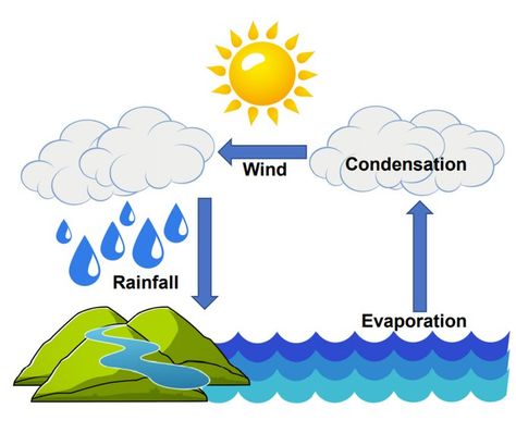 Water Cycle In A Bag, Rain Cycle, Preschool Activities Printable, Form Drawing, Activities Printable, Rain Art, Camp Crafts, Water Cycle, Rain Rain