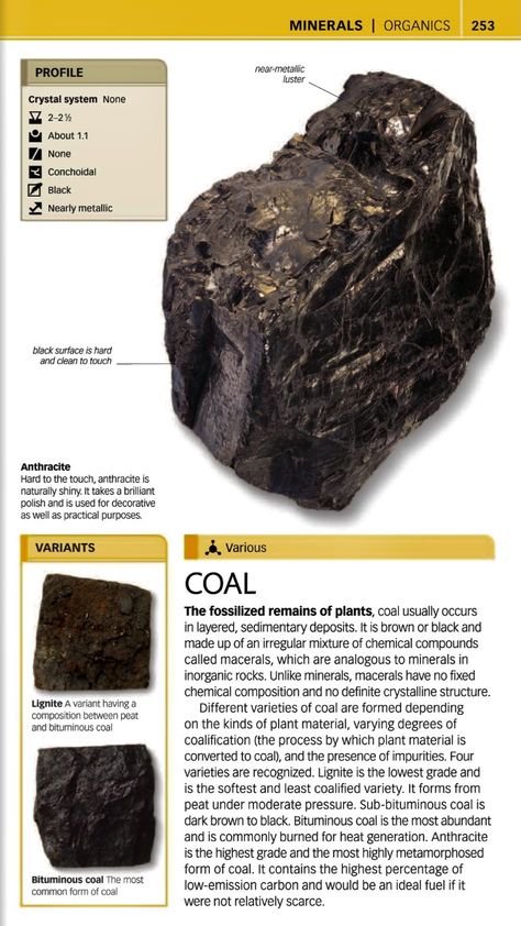 Geology Rocks Mineral, Raw Gemstones Rocks, Jet Crystal, Rock Identification, Gemstones Chart, Crystal Healing Chart, Rock Tumbling, Geode Rocks, Rock Tumbler