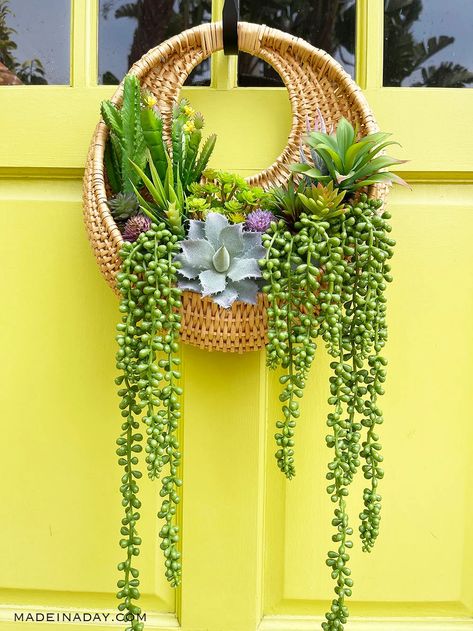 Rattan Succulent Wall Hanging Planter Wreath 2 Diy Wall Basket, Wall Basket Decor Ideas, Succulent Hanging Planter, Succulent Wall Hanging, Diy Rattan, Hanging Wall Baskets, Basket Wall Hanging, Diy Hanging Planter, Aesthetic Wall Decor