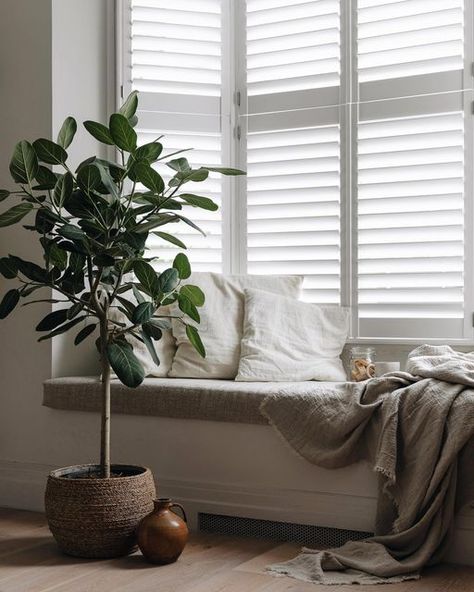 Brixton Home on Instagram: "Ficus Audrey hanging out by the window. Can you spot the snack jar?! . Photograph from today’s shoot for @plantdroplondon. Throw previously #gifted by @pigletinbed. . #stilllifephotography" Ficus Benghalensis, Ficus Audrey, Natural Air Purifier, Space Place, Remove Toxins, Fiddle Leaf, Fiddle Leaf Fig, Decorative Pots, Fig Tree