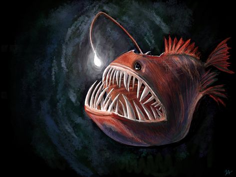 Angler Fish Illustration, Angler Fish Art, Wild Wallpaper, Animals In The Wild, Fish Cartoon, Animal Themes, Sunrise Wallpaper, Vaporwave Wallpaper, Fish Artwork