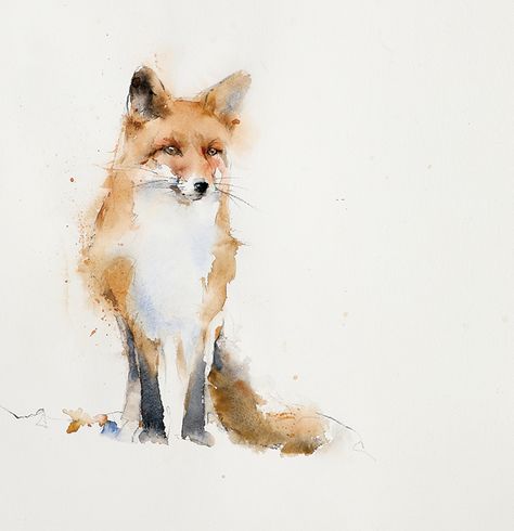 Watercolor Wildlife, Fox Watercolor, Fox Artwork, Fox Painting, Arte Van Gogh, American Painting, Wildlife Artists, Fox Art, Jackson Hole