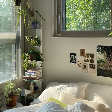 dreamy room aesthetic dreamy room aesthetic  night dreamy room aesthetic  purple dreamy room aesthetic  vintage dreamy room aesthetic  korean dreamy room aesthetic  comfy dreamy room aesthetic  minimalist White Apartment With Plants, Room Inspo Japanese, Minimalist Plant Room Aesthetic, Minimalist Plant Bedroom, Minimalist Plant Room, Room Plants Aesthetic, Room Aesthetic Purple, Room Aesthetic Night, Minimalistic Dorm