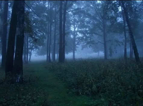 Teal Aesthetic, Foggy Forest, Dark Paradise, Pretty Landscapes, Blue Hour, Nature Aesthetic, Pretty Places, Blue Aesthetic, Dark Aesthetic